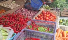 Mikroplastik Mengintai Makanan Sehari-har