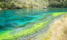 Blue Lake Selandia Baru: Aturan Ketat Lindungi Danau Suci