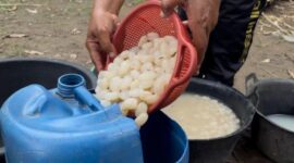 Foto: Beluluk atau kolang-kaling yang dibuat warga Jambi saat Ramadan (Dimas Sanjaya)







