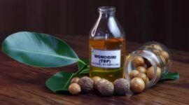 Foto: Badan Riset dan Inovasi Nasional (BRIN) mengembangkan inovasi pemanfaatan biomassa hutan sebagai sumber bahan bakar nabati (BBN) atau biofuel guna mengurangi ketergantungan terhadap impor bahan bakar minyak (BBM). (Dok. BRIN)

