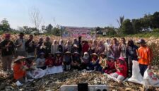 Camat Kecamatan Air Hangat Barat hadir mendukung panen raya jagung di desa.